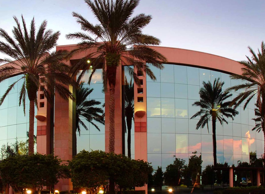 Mastering the Development Process